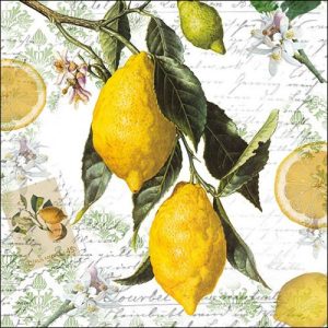 TOVAGLIOLI GRANDI LIMONI