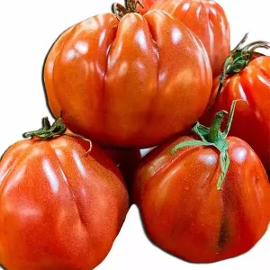 Pomodori Cuore di Bue