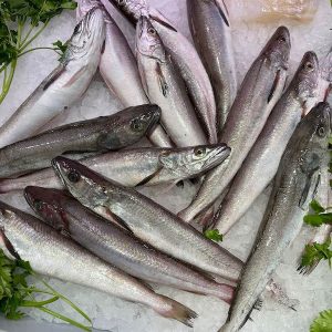 Nasello (ca. 400 gr.)