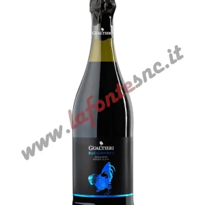 Lambrusco Reggiano Rosso DOP “Bucciamara” Secco Cantina di Gualtieri