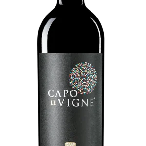 Montepulciano D’Abruzzo Doc Capo Le Vigne 2017 75cl BIO  Vigna Madre