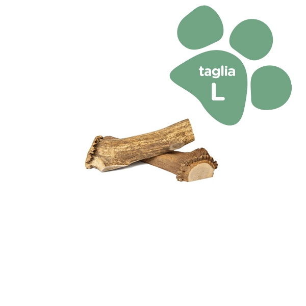 Corno di Cervo Ammezzato Orazio Butcher BARF Large Taglia L 81-120gr