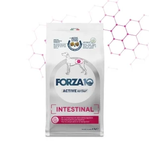 Crocchette per Cani Adulti con Problemi Intestinali Forza10 Active Line Intestinal 4kg